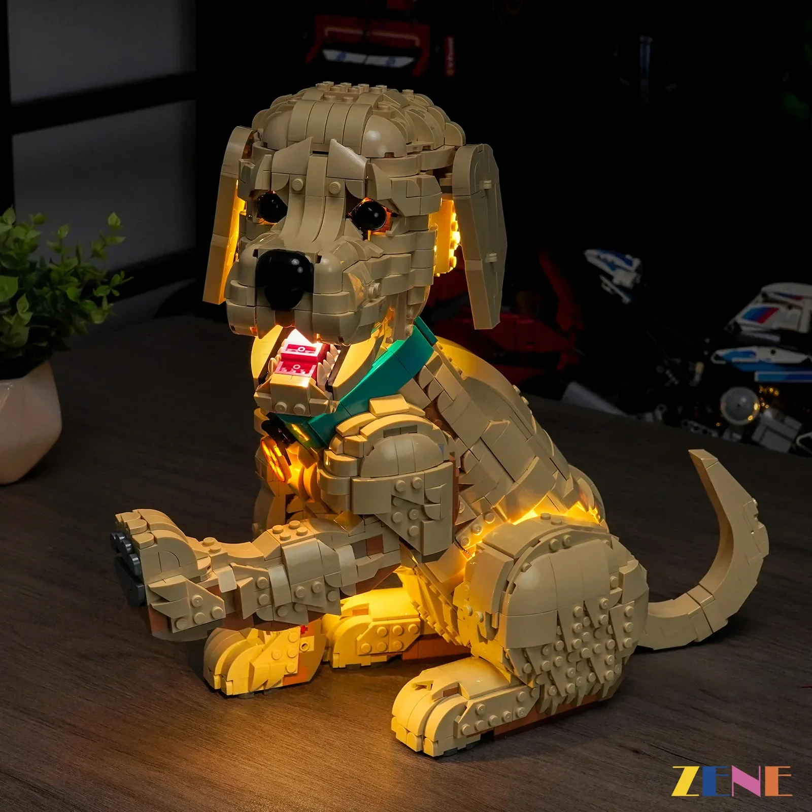 Light Kit for Golden Retriever Puppy #11384