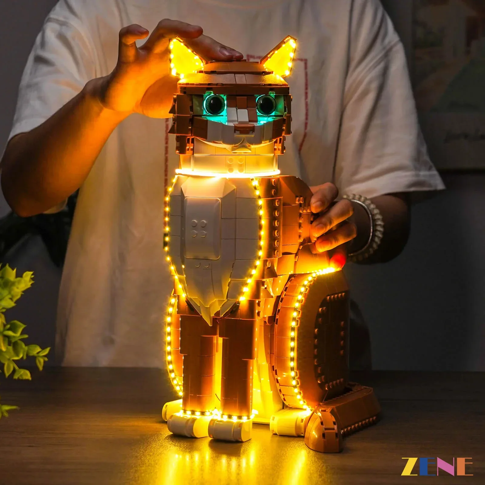 Light Kit for Ideas Orange Cat #21376