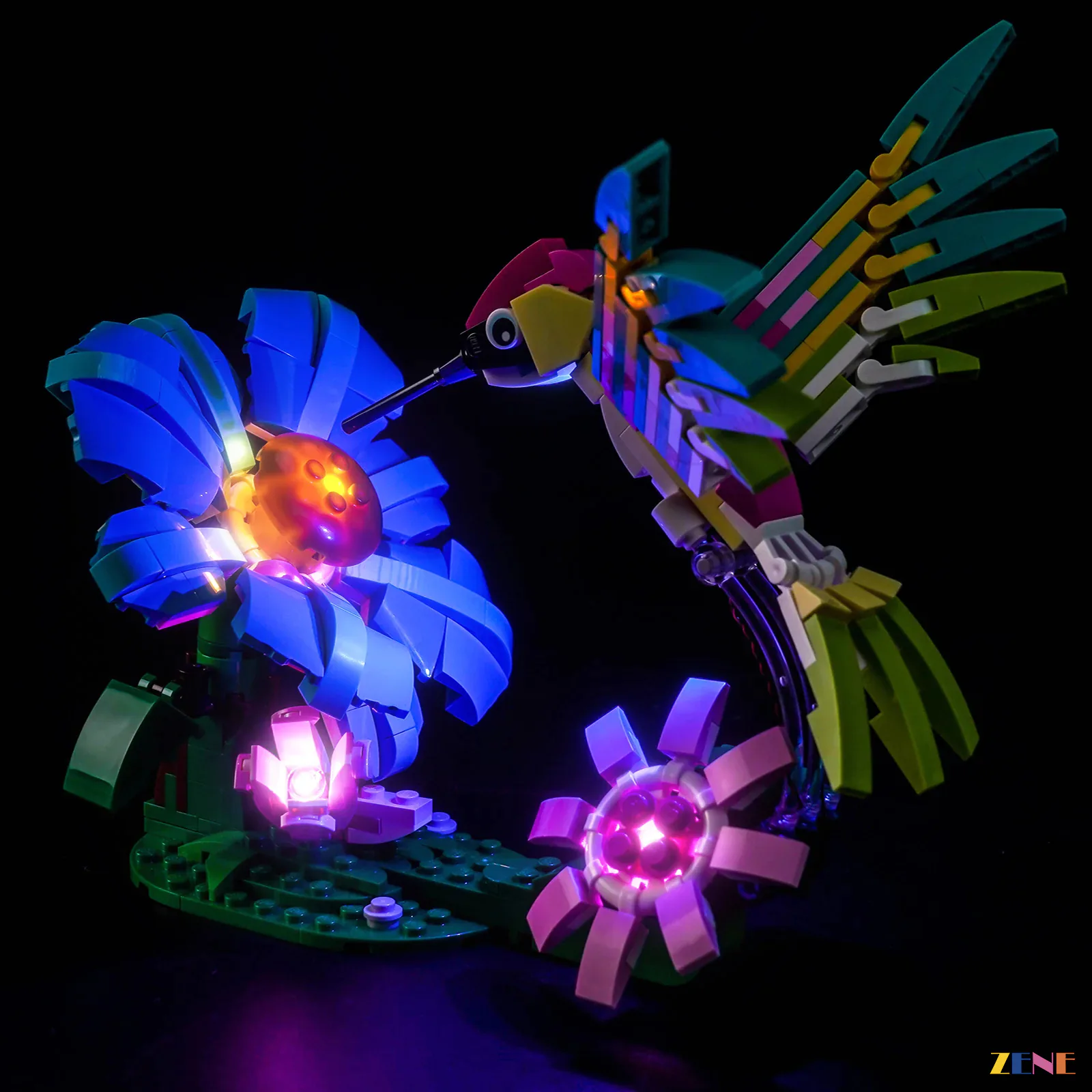Light Kit for Wild Animals: Colorful Hummingbird #31384 - Image 3