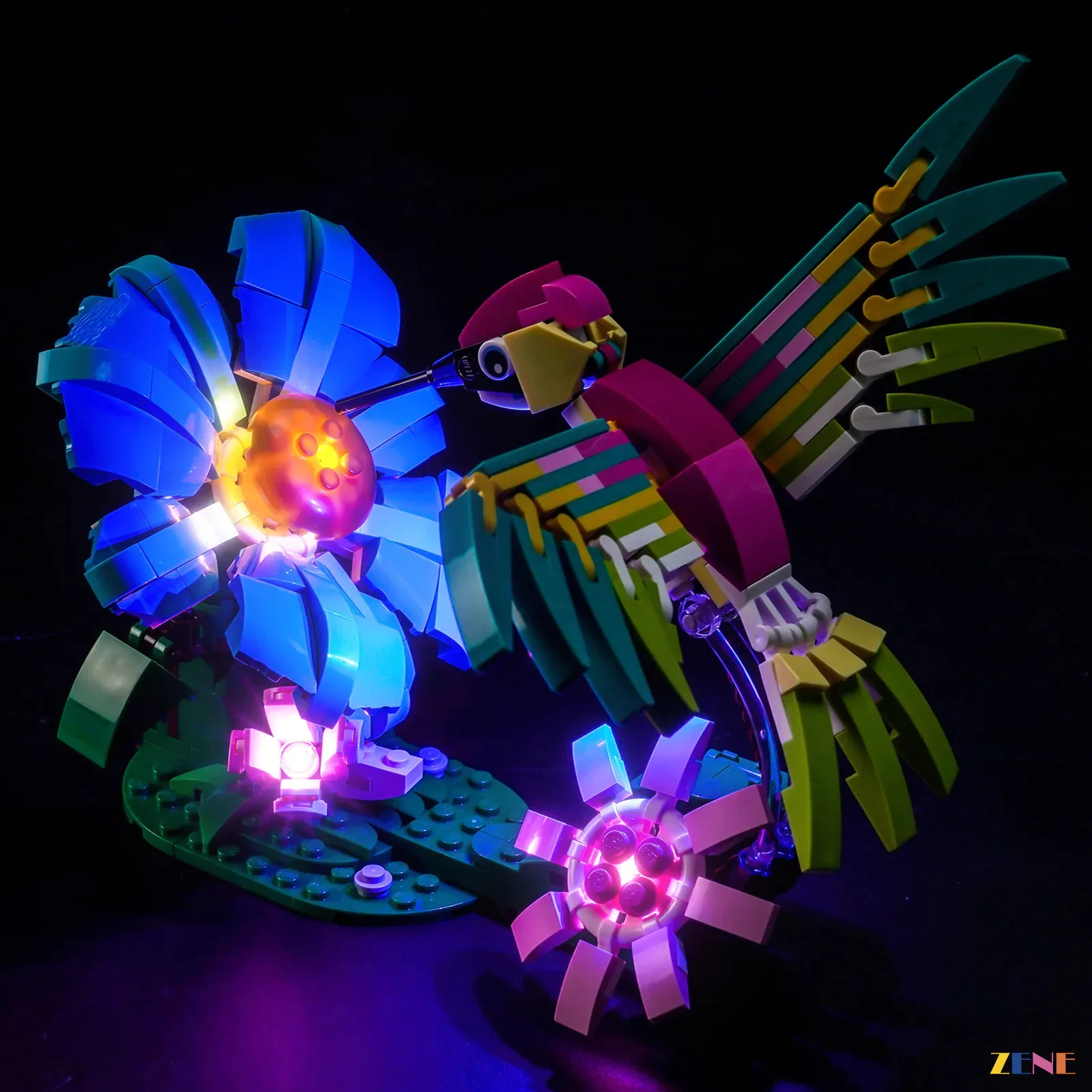 Light Kit for Wild Animals: Colorful Hummingbird #31384 - Image 5