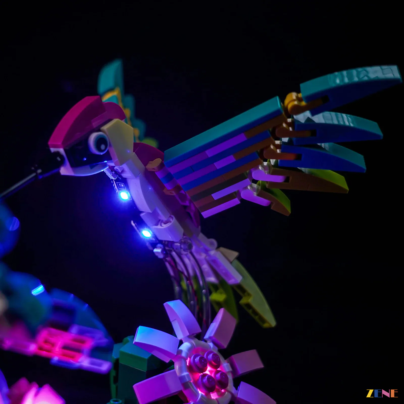 Light Kit for Wild Animals: Colorful Hummingbird #31384 - Image 9