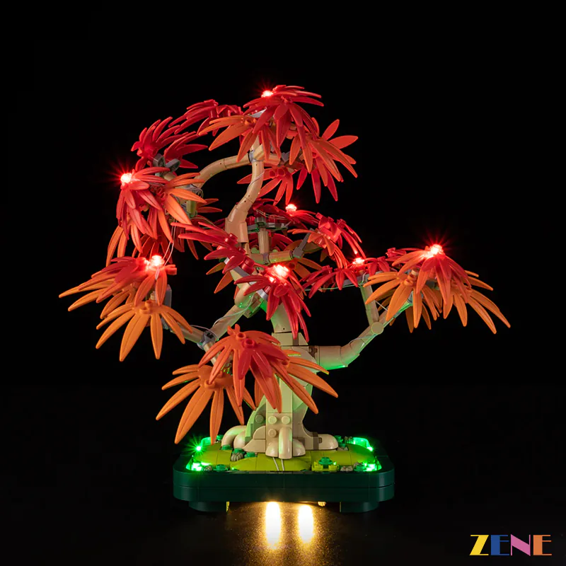 Light Kit for Japanese Red Maple Bonsai Tree #10348 - Image 6