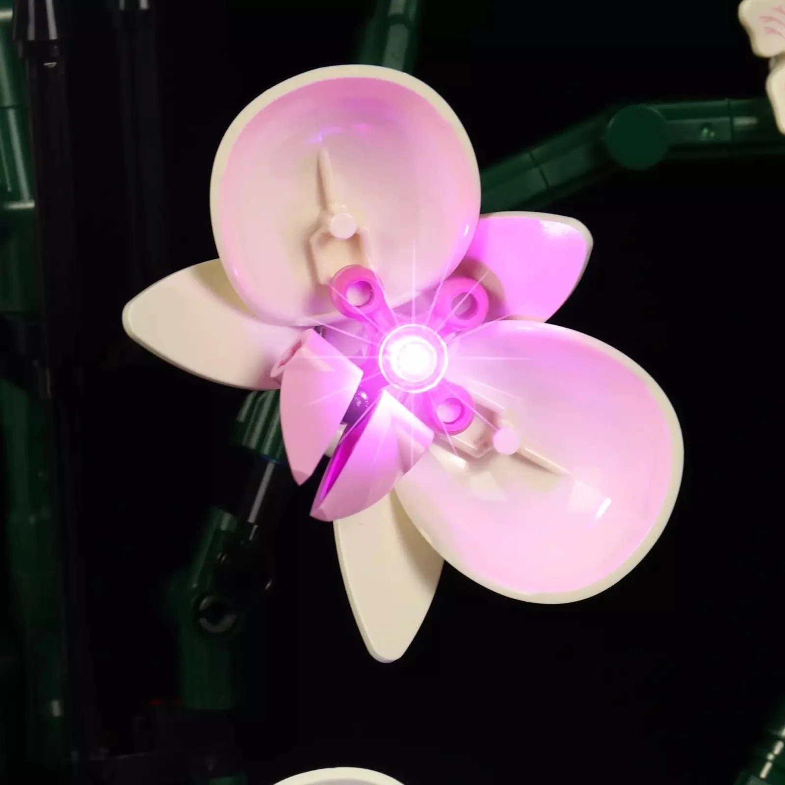 Light Kit for Orchid #10311 - Image 4