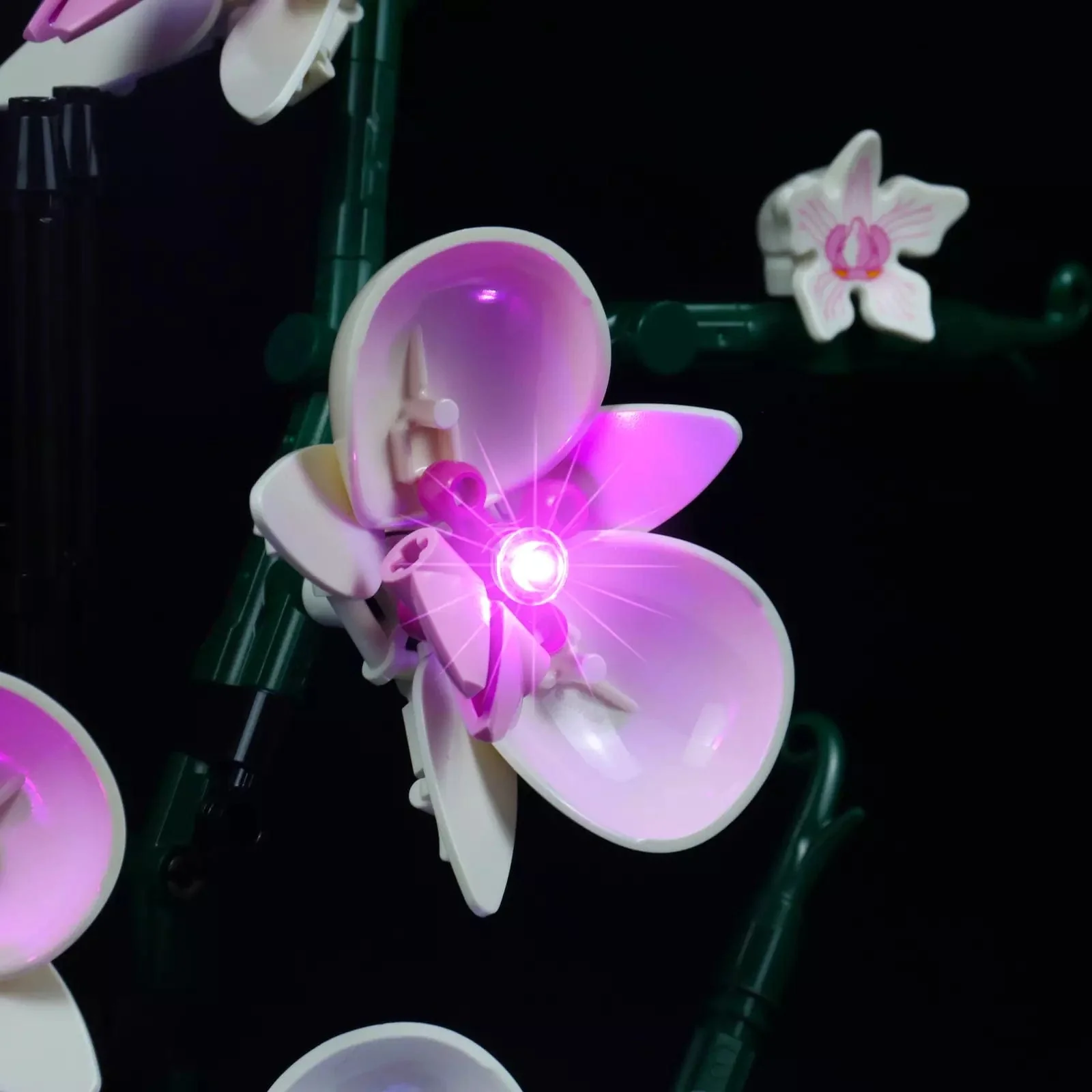 Light Kit for Orchid #10311 - Image 5