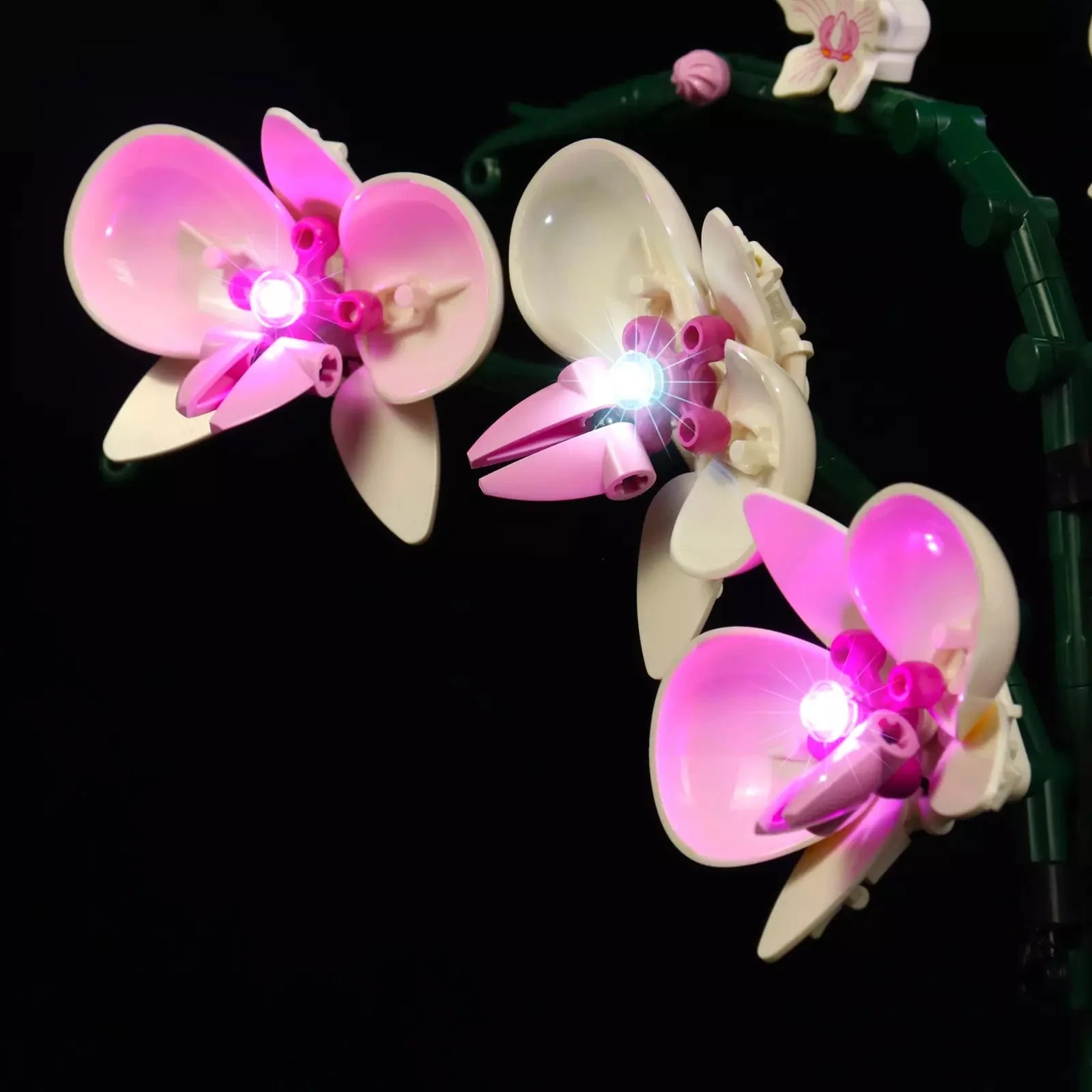 Light Kit for Orchid #10311 - Image 6