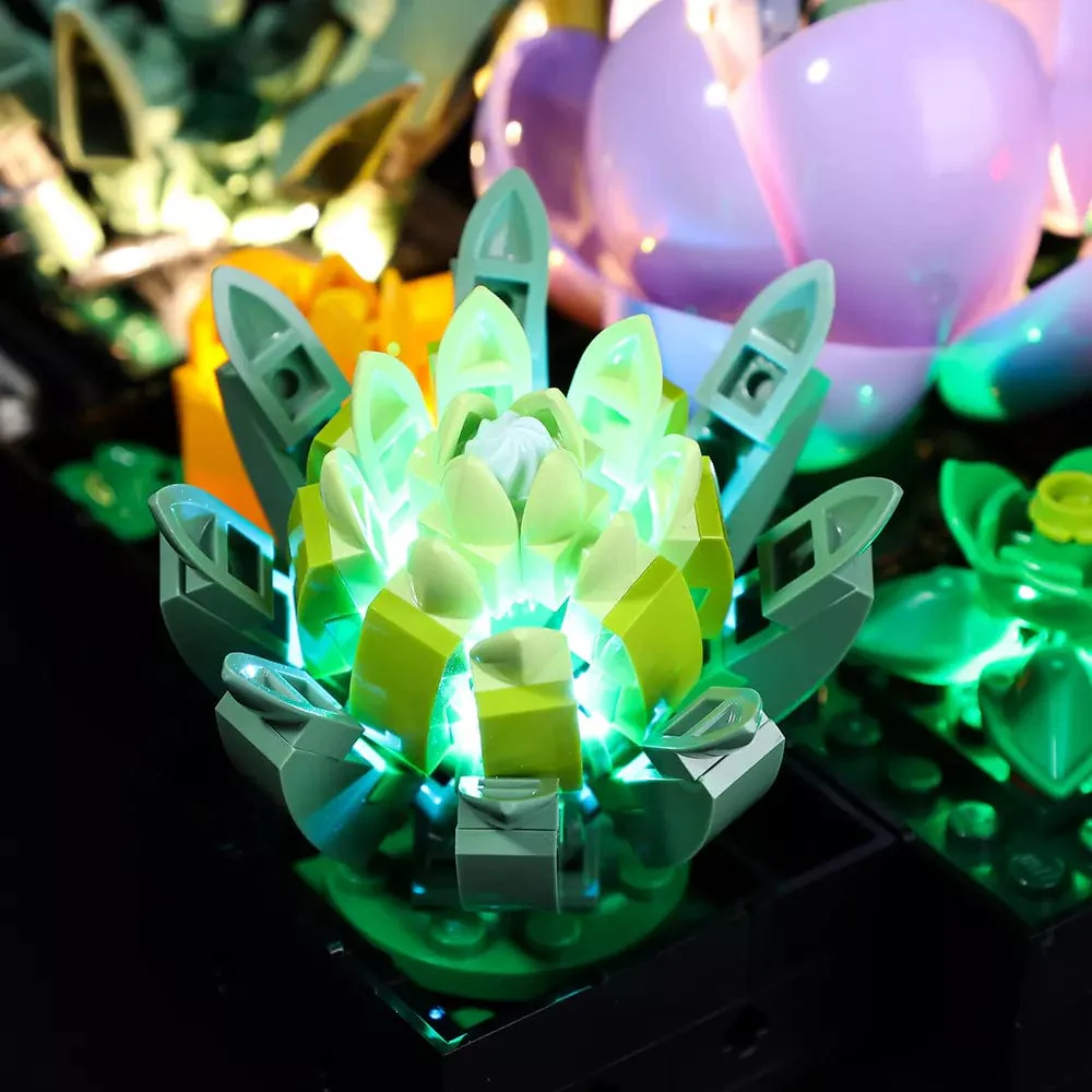 Light Kit for Succulents #10309 - Image 4