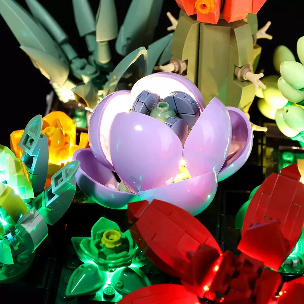 Light Kit for Succulents #10309 - Image 5